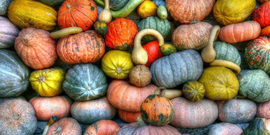 Die Ursprünge von Halloween Die Ursprünge von Halloween
