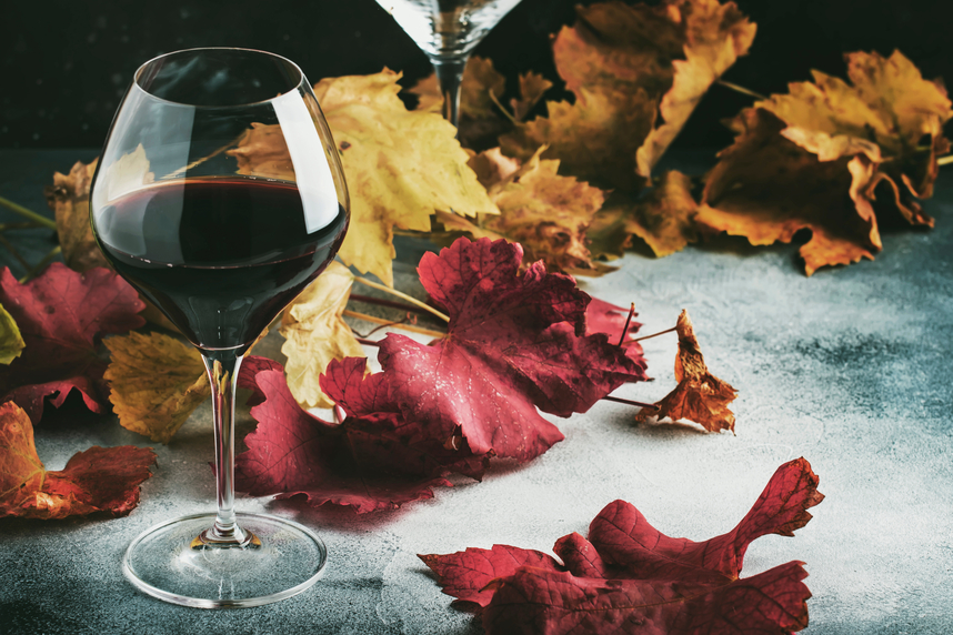 Herbstweine: Was sie auszeichnet und wie man sie auswählt Herbstweine: Was sie auszeichnet und wie man sie auswählt