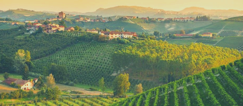 Le Langhe, cornice della bellissima città di Alba