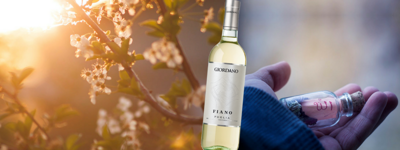 Primavera in bottiglia: Fiano Puglia IGT Giordano